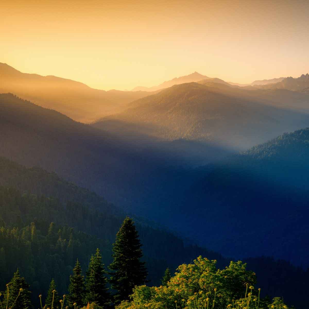 Report: The UK-India Free Trade Agreement: Strategic Opportunities for Business